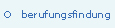 berufsfindung