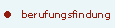 berufsfindung